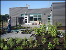 Green Roof Dr David Suzuki Emementary School